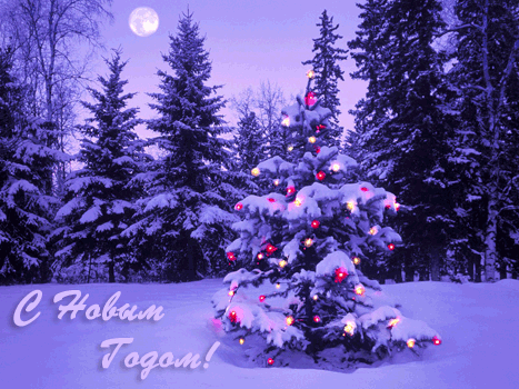 С Новым 2014-м годом! С Новым 2014-м годом!